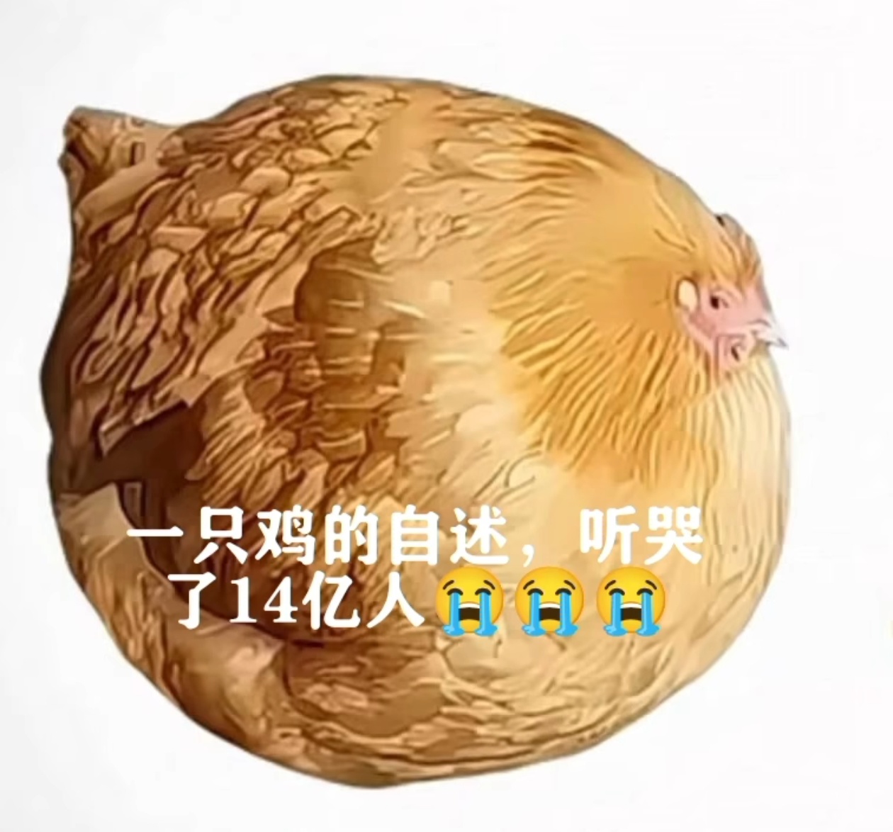 配图1